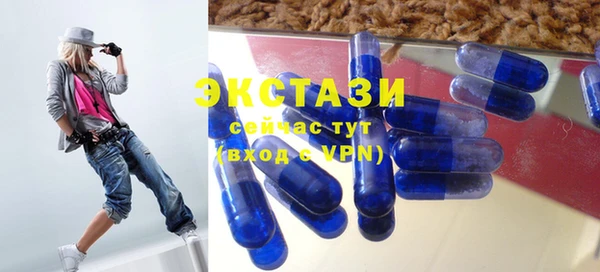 гидра Богданович