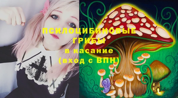 гидра Богданович