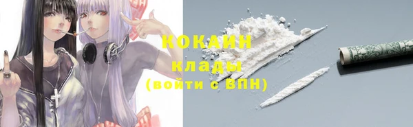 гидра Богданович