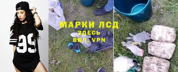 гидра Богданович