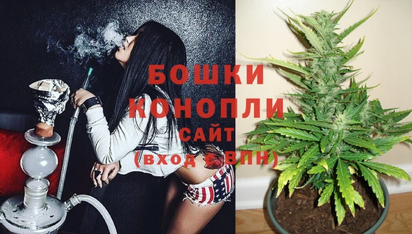 дурь Белокуриха