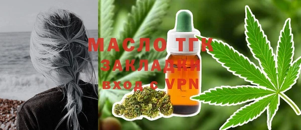гидра Богданович