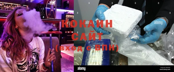 гидра Богданович