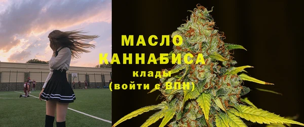 гидра Богданович
