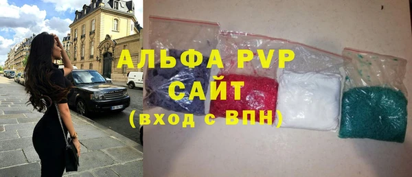 гидра Богданович