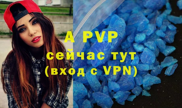 гидра Богданович