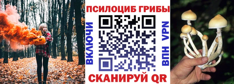 купить наркоту  гидра как зайти  Галлюциногенные грибы мицелий  Малоярославец 